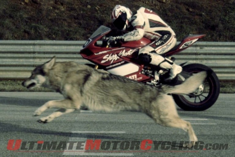 Ducati 1199 Panigale: Nunnari’s Moto & Wolf Video