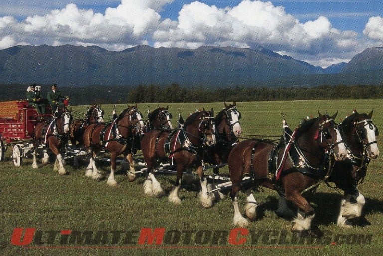 Budweiser Clydesdales to Appear at Sturgis Buffalo Chip