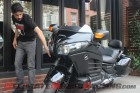 A Honda F6B Grows in Brooklyn