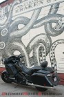 A Honda F6B Grows in Brooklyn