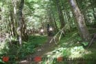 2014 AltRider Hoh Rainforest Ride | An Evergreen Adventure