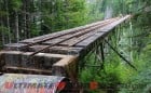 2014 AltRider Hoh Rainforest Ride | An Evergreen Adventure