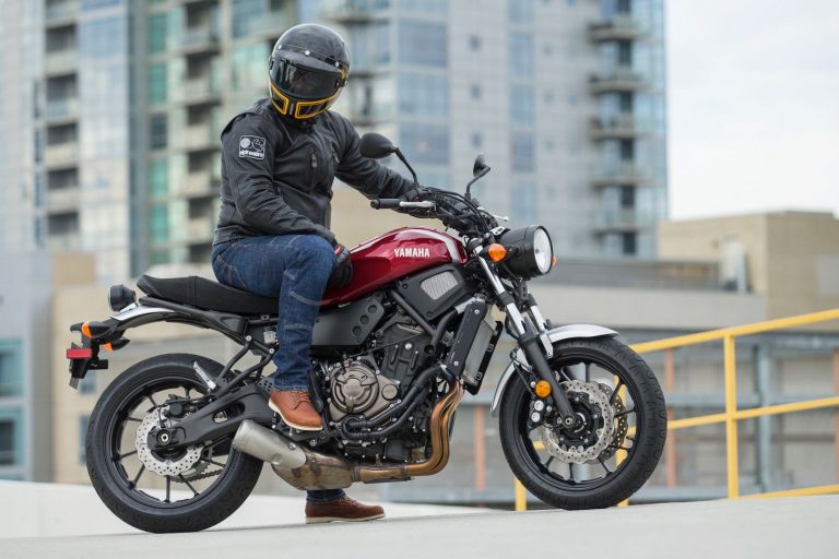 Oscar by Alpinestars Brass Leather Jacket Review | Fashionable Safety