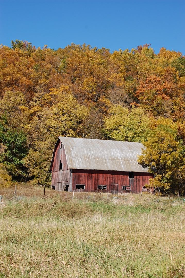 Fall Motorcycle Riding Colors