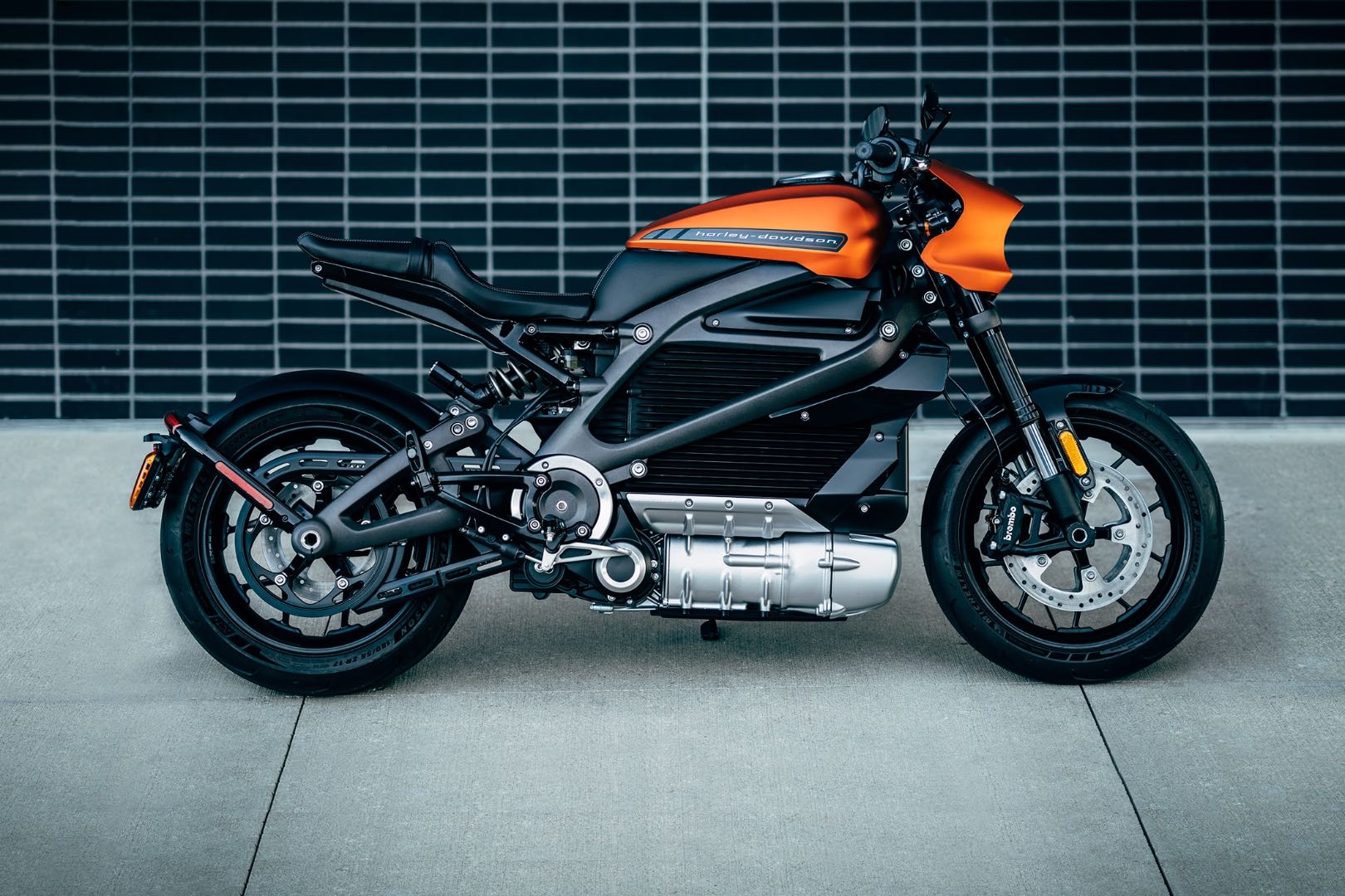Harley-Davidson LiveWire Shock and Hog