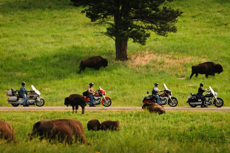 2019 AMA Grand Tours Schedule: Get Out and Ride Your Motorcycle