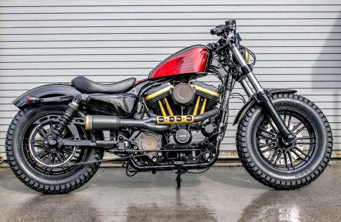 sportster finalist Battle of the Kings 2019
