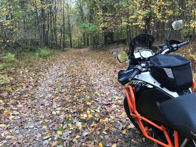 Lieback’s Lounge: Ghost Eyes, Wet Leaves, and Night Riding Romance