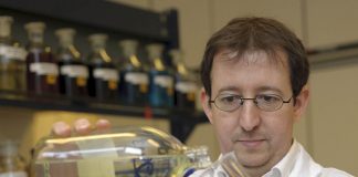 Choosing Motorcycle Engine Oil: An Expert Weighs In