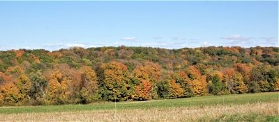 midwest fall
