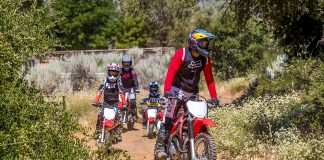 2022 Honda Green Sticker Trail Bike Lineup First Look