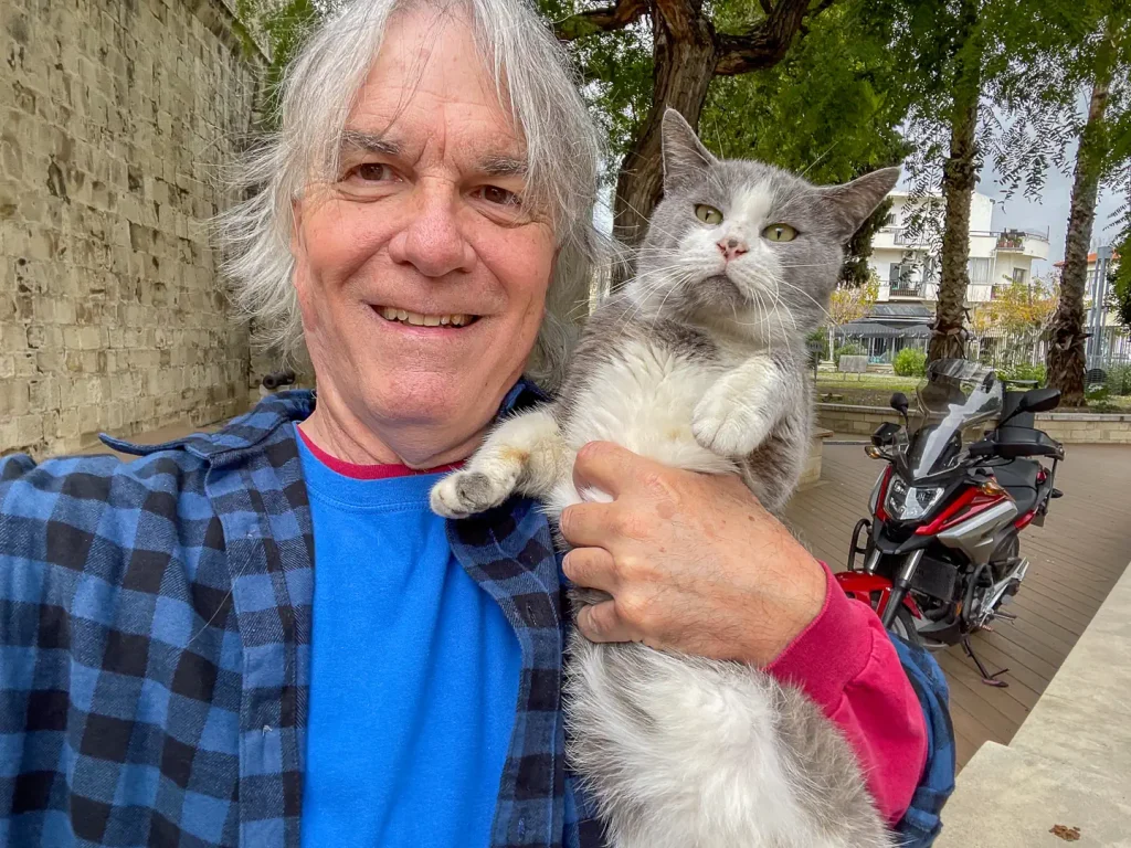 Limassol, Cyprus, cats