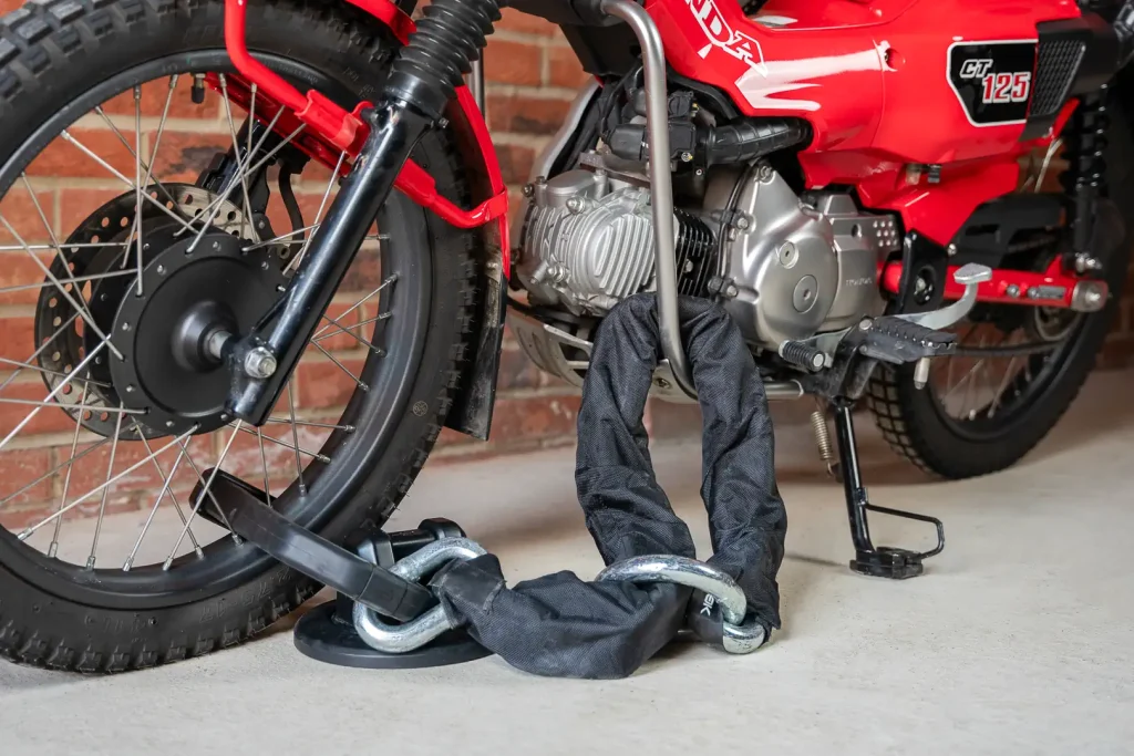 Hiplok Chain