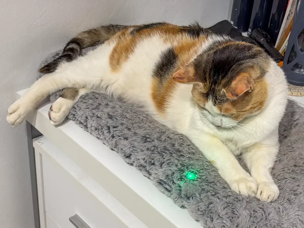 Olight ArkPro Ultra Flashlight Review: cat-friendly laser pointer