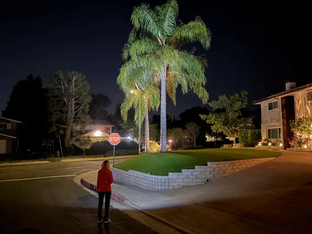Olight ArkPro Ultra Flashlight Review: Illuminating a palm tree