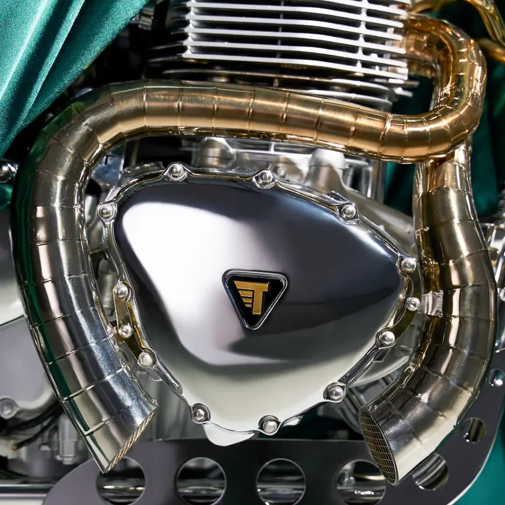 custom Triumph motorcycle; engine side case