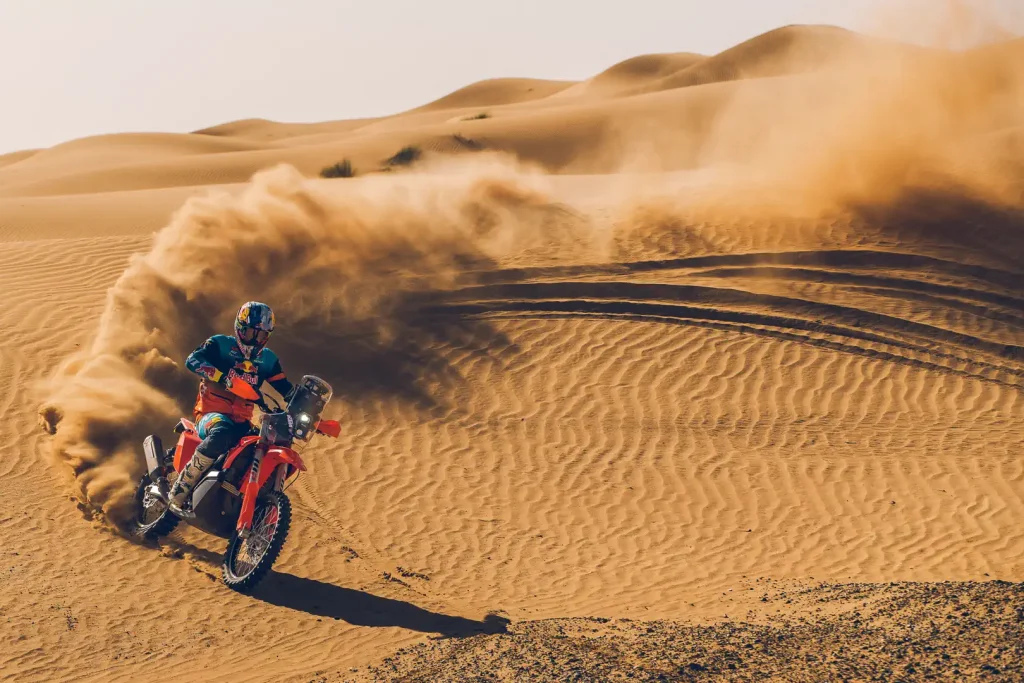 Edgar Canet roosting on a sand dune.