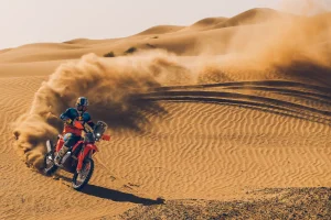 Edgar Canet roosting on a sand dune.